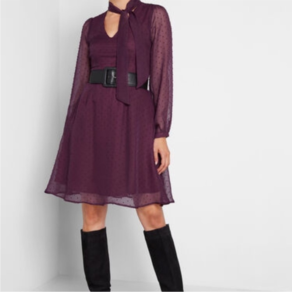 Modcloth Apogee of Elegance Swiss Dot Chiffon Plum Dress Size 2 NWOT